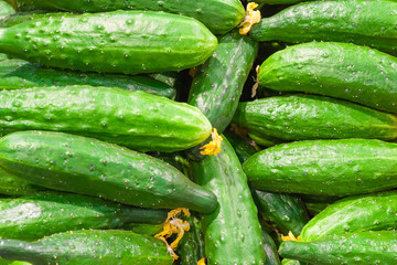 A pile of cucumbers with yellow inflorescences in the store (background, texture)