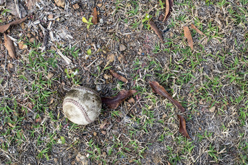 used baseball on the fresh green grass with copy space