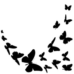 Obraz na płótnie Canvas black butterfly, isolated on a white