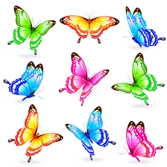 Fototapete Schmetterlinge schöne Farbe Schmetterlinge, Set, isoliert auf einem weißen