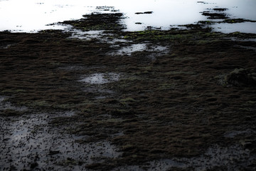 Dirt Grit Texture
