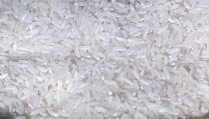 Rice close up background