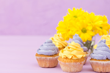 Cupcakes decorated with yellow and violet cream and chrysanthemums on violet pastel background for greeting card with copyscape.