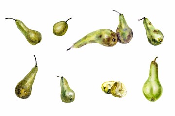 Set of Pears on the white background. Watercolor illustration
