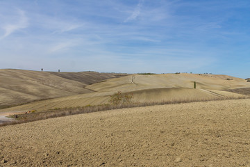 Fototapeta na wymiar Yellow ploughed field and blue sky in Tuscany