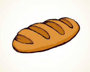 Loaf of long bread. Vector drawing