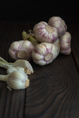 Garlic heads on dark wooden table