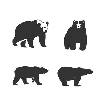 Bear logo illustration