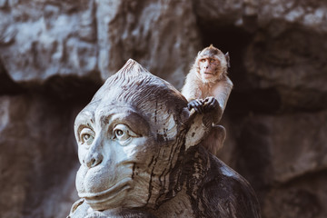 Funny monkey sits on large monkey monument's head. Funny anxious monkey seeks protection of stone God. Belongs to urban free-living monkeys of Prachuap Khiri Khan city, Thailand