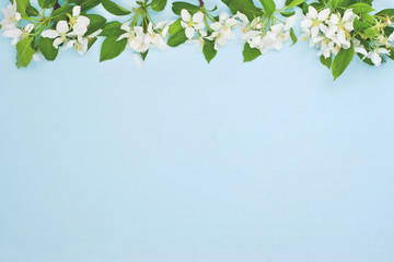 Composition with apple blossoms flowers on wooden background