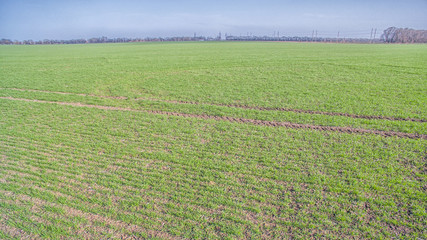 A green agriculture field