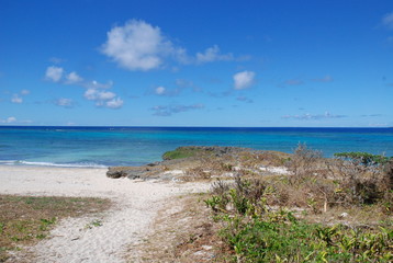 沖縄　黒島　okinawa kuroshima japan island