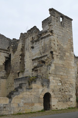 Fototapeta na wymiar ruines de château