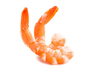 boiled shrimp isolated