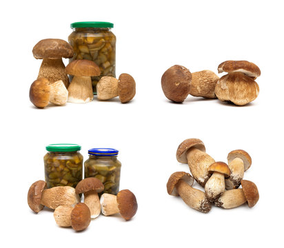 pickled and fresh forest mushrooms on a white background