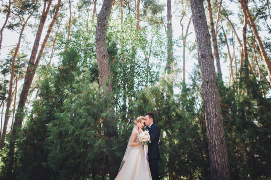 The bride and groom are hugging in the summer park. Summer forest.