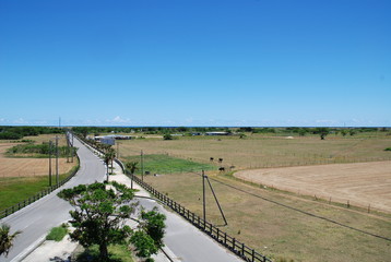 沖縄　黒島　okinawa kuroshima japan island
