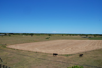 沖縄　黒島　okinawa kuroshima japan island