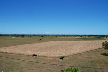 沖縄　黒島　okinawa kuroshima japan island