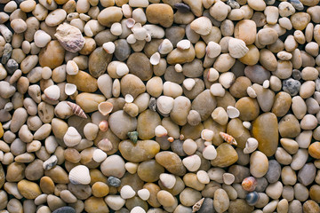 Sea pebbles background, natural seashore stones