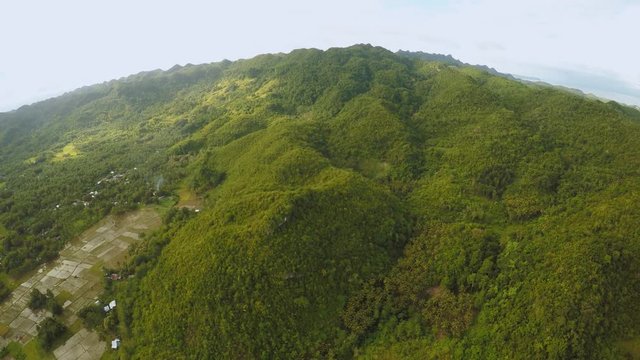 Philippine nature with hills. Bohol Island. Aerial view.