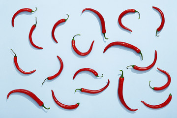 Chili peppers on blue background, red chili flat lay