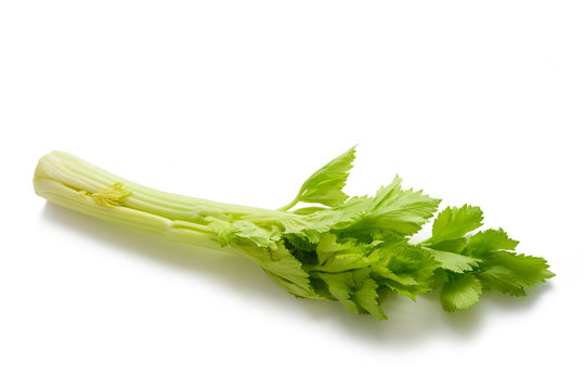 Fresh celery stalk