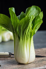 Fresh raw baby Bok choy or pak choi Chinese cabbage