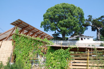 小豆島　アート　瀬戸内国際芸術祭　art 