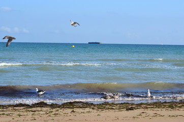 plage d'arromanches les bains
