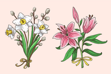 Set of hand drawn spring bouquets: pink lily, narcissus, willow branches. Beautiful flowers doodle illustration