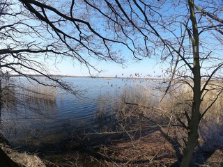 Brzeg jeziora © michalsen