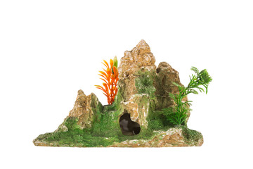 decoration for the aquarium