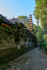 Fototapeta na wymiar Pura Gunung Lebah Temple, Ubud, Bali island, Indonesia
