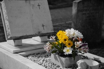 Bunch of flowers on a grave plot with selective color