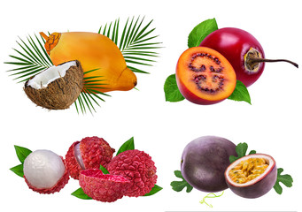 Collection of exotic fruits isolated on a white background
