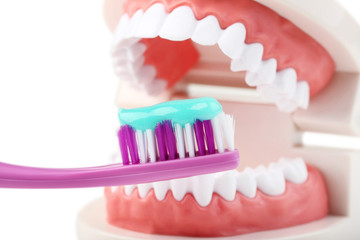 Obraz premium Teeth model with toothbrush and toothpaste