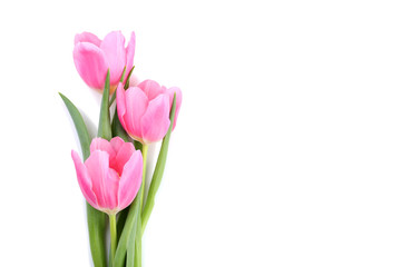 Obraz na płótnie Canvas Bouquet of pink tulips isolated on white background