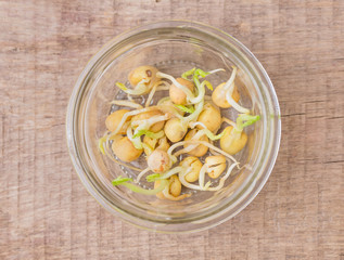 Sprouted mung beans in jar