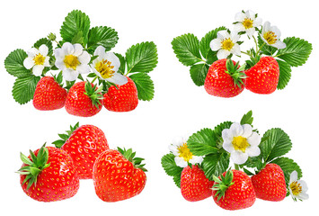 Obraz na płótnie Canvas strawberry and strawberry flower isolated on white background