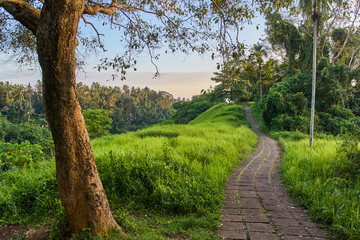 Campuhan Ridge Walk sacred trail at sunset, on Bali island, Indonesia