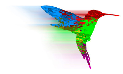 Obraz premium Paint Splatter Animals - Hummingbird