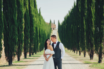 Fototapeta premium Happy stylish smiling couple walking and kissing in Tuscany, Ita