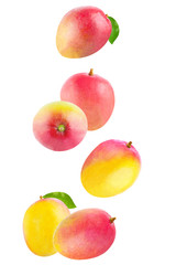  Whole mango isolated on white