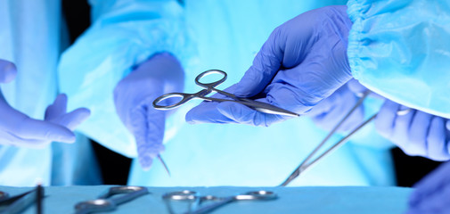 Surgeons hands holding surgical scissors and passing surgical equipment, close-up. Health care and veterinary concept