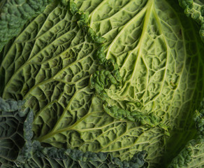 Obraz premium Cabbage detail with leaves texture, close up