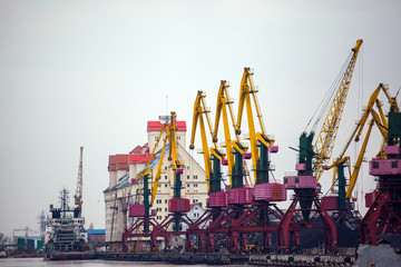 warehouses and cranes in the port