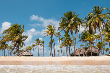 beach bungalow on island  with palm trees  