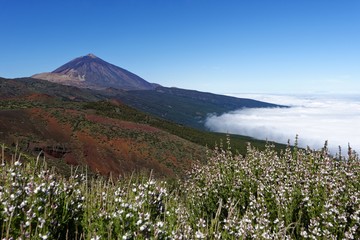 Teneriffa - Teide