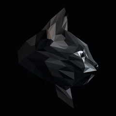 Cat low poly design. Triangle vector illustration. - 198905918